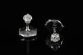 Puces diamants