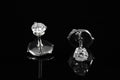 Puces diamants