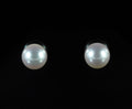 Puces perles