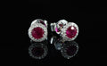 Puces Rubis et diamants