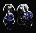 Puces Tanzanites